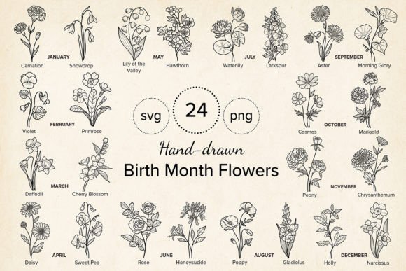 24 Hand-drawn Birth Month Flowers Bundle Graphics