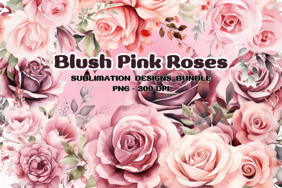 Blush Pink Roses Watercolor Graphics for Local Branding