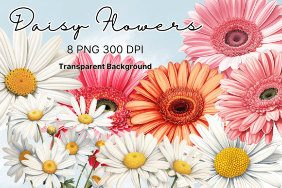 Daisy Flowers Watercolor Clipart Graphics