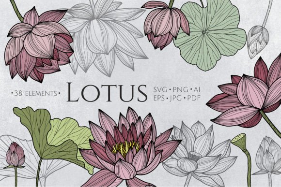 Lotus Flowers Graphics for Creative Projects