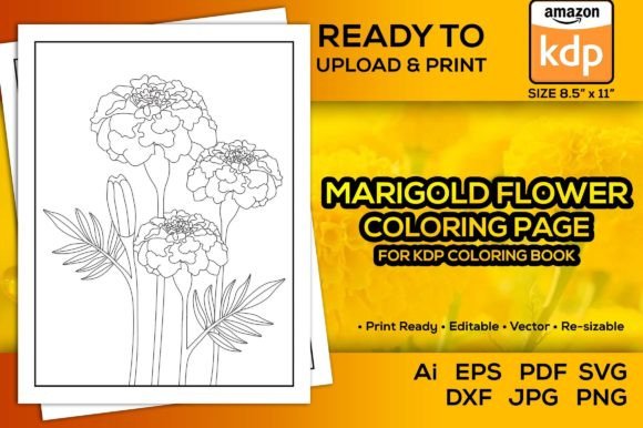 Marigold Flower Coloring Pages Book Kdp