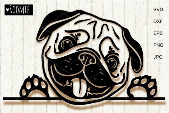 Peeking Pug Dog