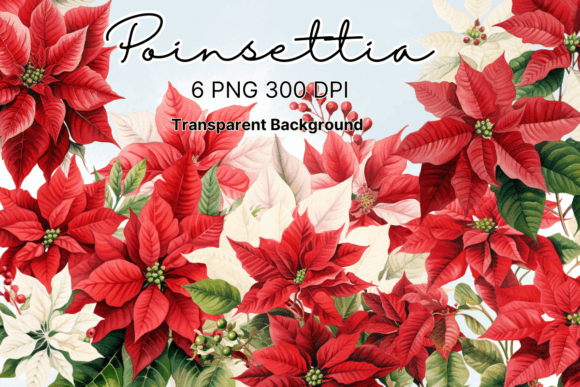 Poinsettia Christmas Flowers Graphics
