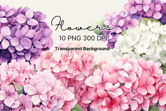 Watercolor Hydrangea Flowers Graphics